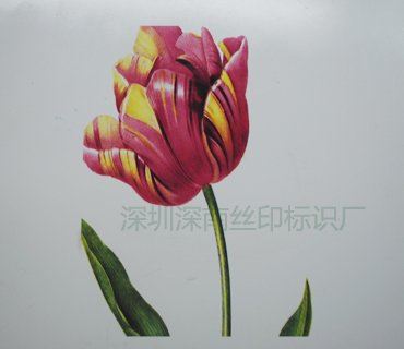 PVC-PC-PET面板13_深圳市深南辉标识科技有限公司